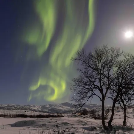 Basecamp Dramsvegen Aurora Viewpoint * Τρόμσο
