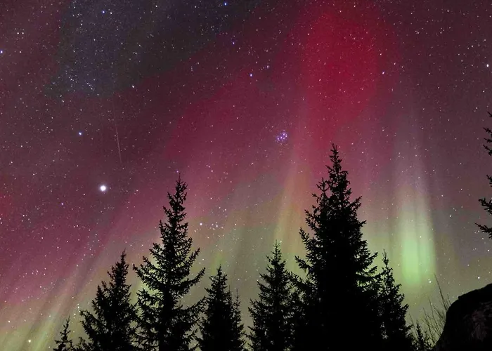 Basecamp Dramsvegen Aurora Viewpoint * טרומסה