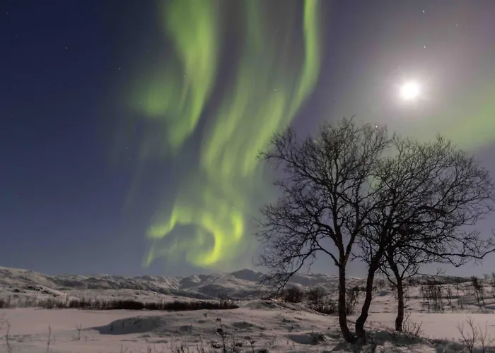 Basecamp Dramsvegen Aurora Viewpoint * טרומסה