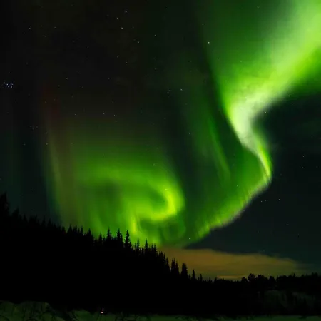 Basecamp Dramsvegen Aurora Viewpoint Tromsø